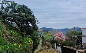 Casa Rodrigues